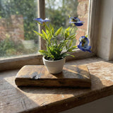 Display the Single Bud Vase Whiskey Barrel Stave with a small blue-flowered plant to bring reclaimed barrel decor charm and rustic elegance to a sunlit window.