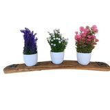 Three small white pots with purple, white, and pink flowers rest on a curved wooden shelf, reminiscent of a Bud Vase Stand crafted from reclaimed whiskey barrel staves, exuding rustic charm.